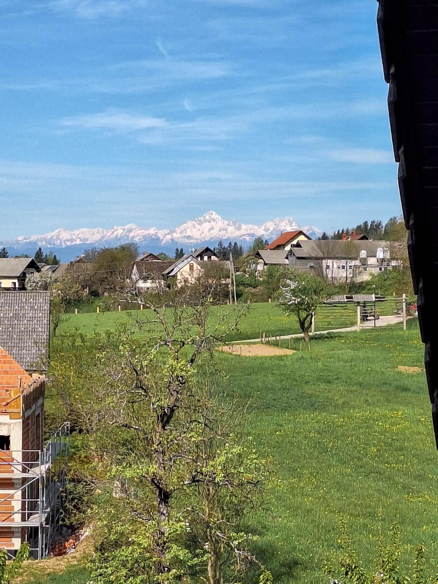 Apartment Zupan Preddvor Dış mekan fotoğraf